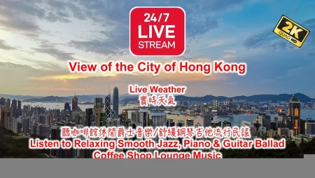 Hong Kong - Victoria Harbour from The Peak