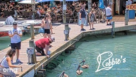 Tarpon Feeding Dock at Robbie's Marina - Islamorada