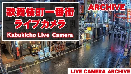 Tokyo - Shinjuku Kabukicho District